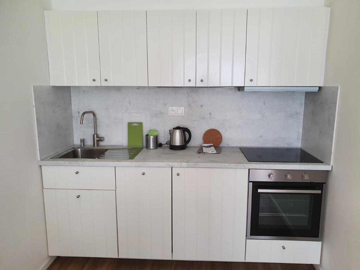 Stylish Apartment With Terrace And Garage In The City Center Plzeň Kültér fotó