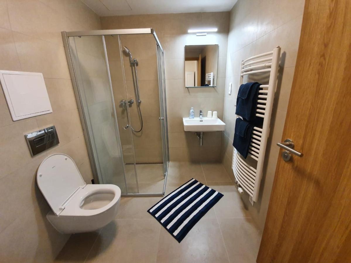Stylish Apartment With Terrace And Garage In The City Center Plzeň Kültér fotó
